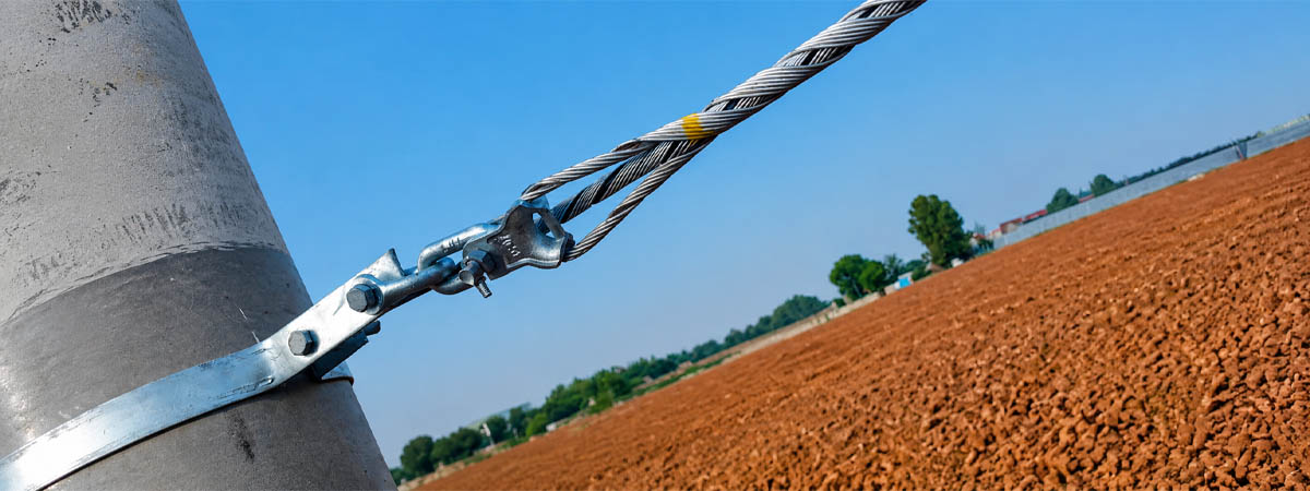 Guy grip in the field